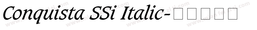 Conquista SSi Italic字体转换